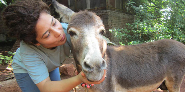 Fall-in-love-with-our-donkeys-600x300